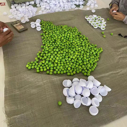 VentoShops | FreshSteps Deodorizing Balls (6pcs) 🐾✨