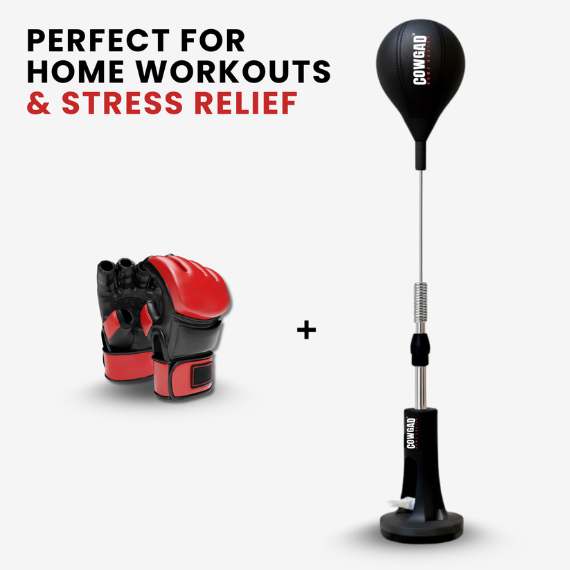 VentoShop Boxing Pro