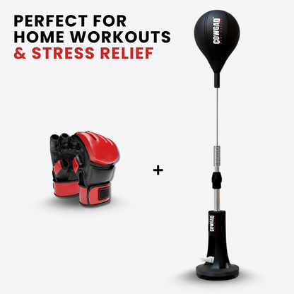 VentoShop Boxing Pro