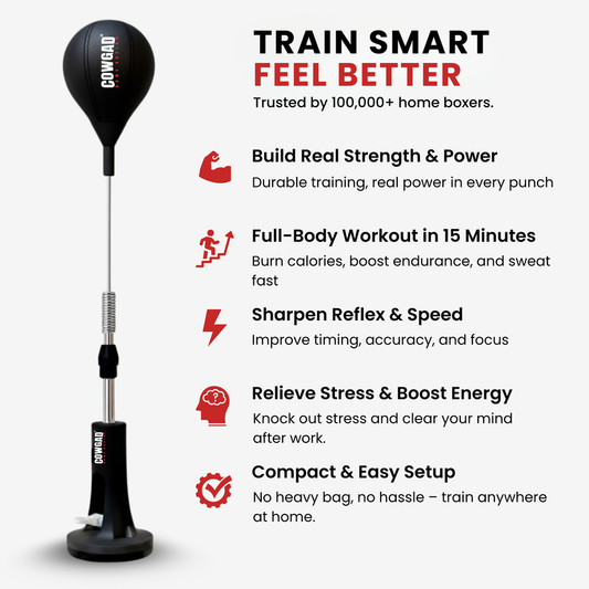 VentoShop Boxing Pro