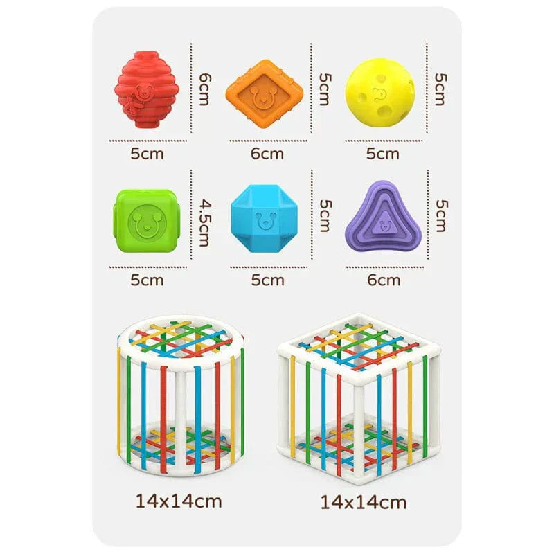 VentoShops Box - Educational Box
