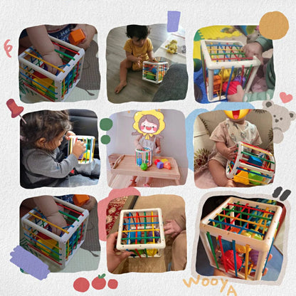 VentoShops Box - Educational Box